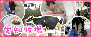 愛知牧場 愛知牧場